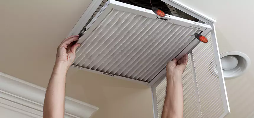 Preventive Cockroach-Proofing for Ducts in Portsmouth