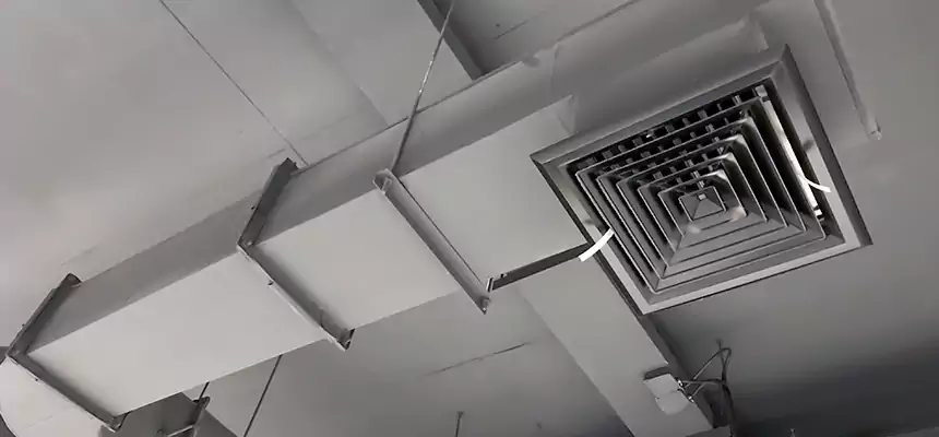 Our Pest Removal From Ducts Services in Portsmouth, OH