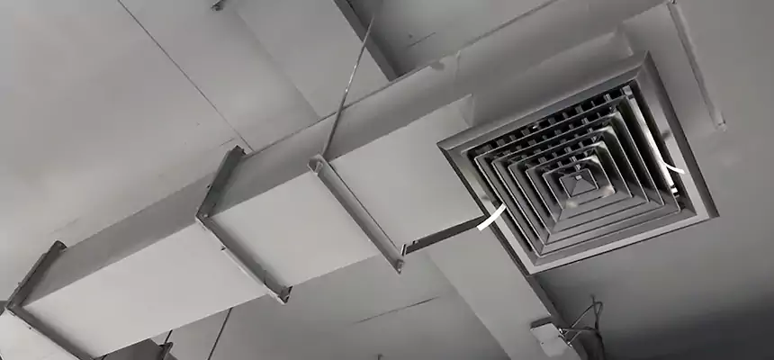 Our Rodent Droppings In Vents Services in Portsmouth, OH