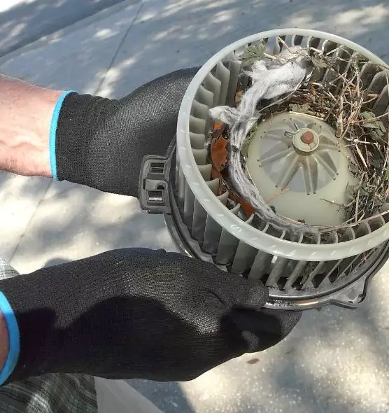 About Air Duct Rat Removal in Portsmouth, OH