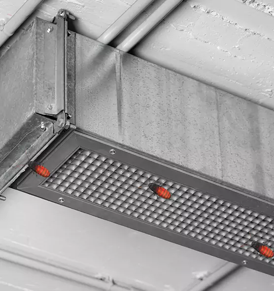 Affordable Insect Removal from Air Ducts in Portsmouth, OH
