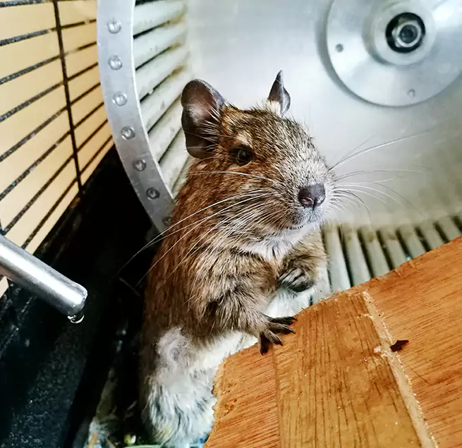 Why Homeowners & Businesses Trust Us Portsmouth, OH?