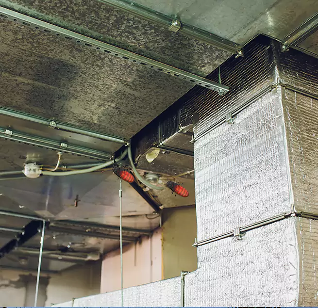 Why Homeowners & Businesses Trust Us Portsmouth, OH?